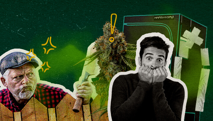 Errores Comunes que Hacen que tu Tienda de Cultivo Huela Cannabis Una ilustración de cogollos de cannabis con una tienda de cultivo, un hombre enojado con un hacha y un hombre sorprendido, sobre un fondo verde, destacando los errores comunes que causan el olor en la tienda de cultivo.