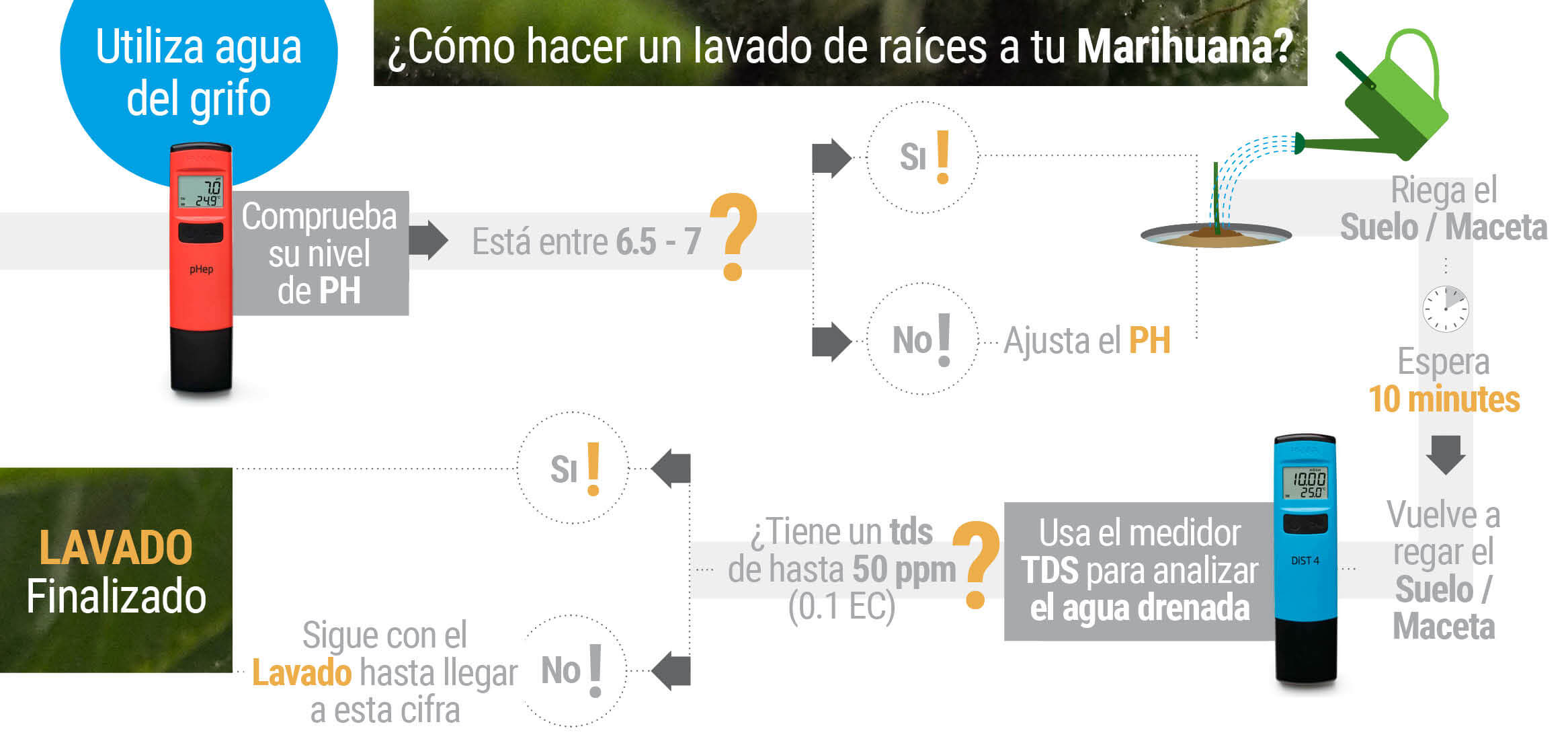 Cómo y cuándo hacer un lavado de raíces a tus plantas de marihuana