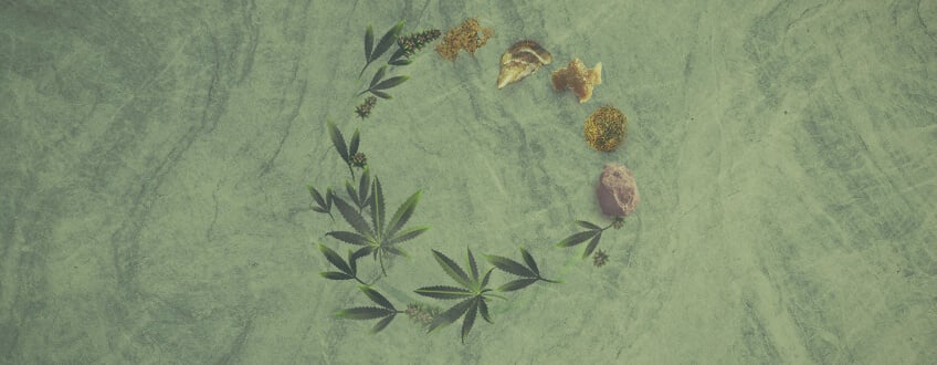 La guía definitiva sobre concentrados de cannabis