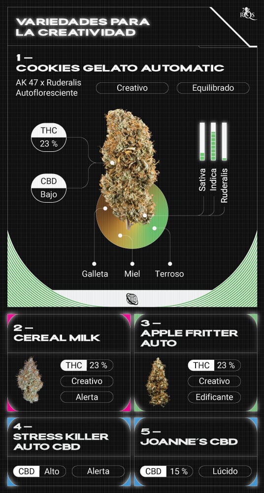 Top RQS Creative Strains