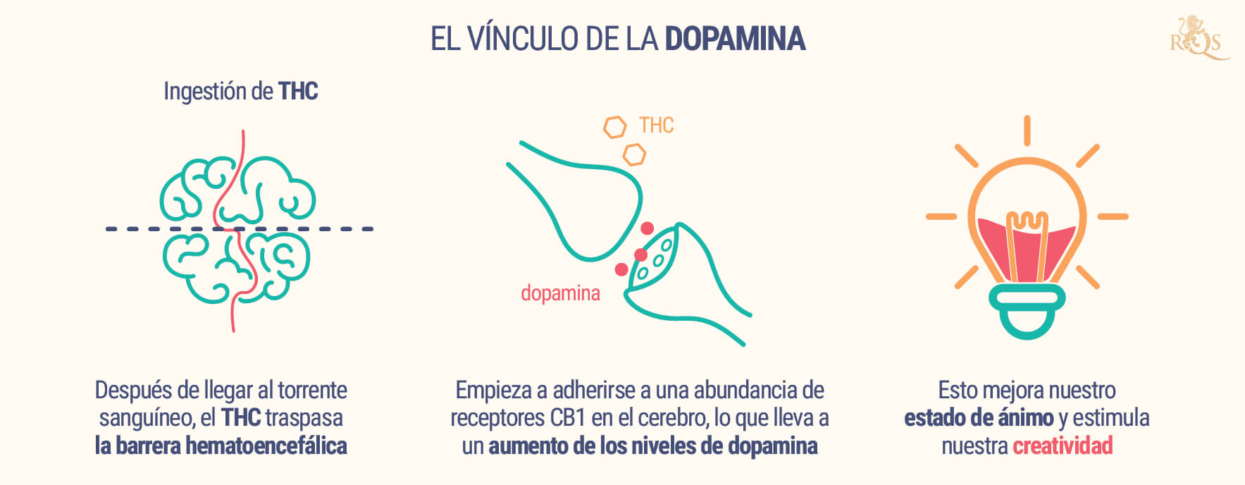 El Vínculo De La Dopamina