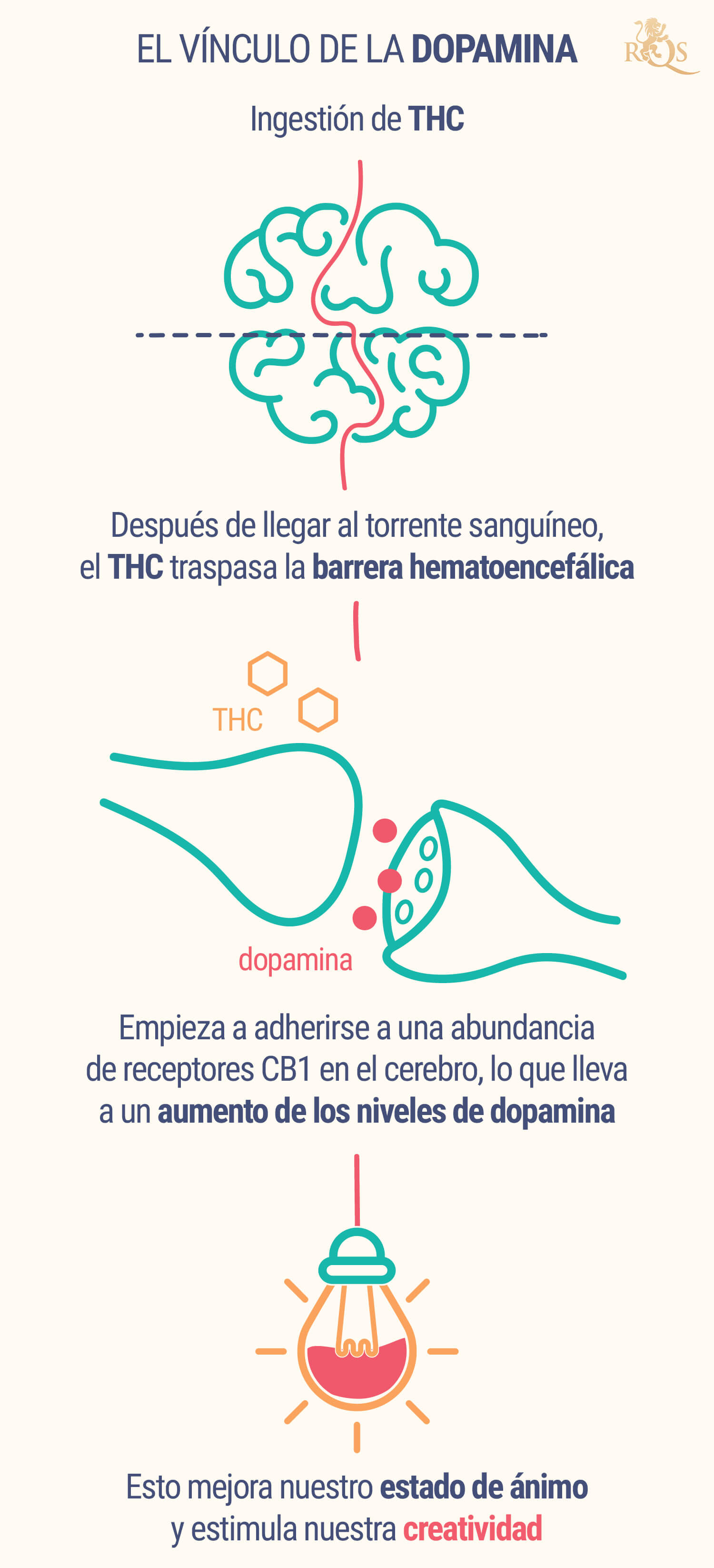 El Vínculo De La Dopamina