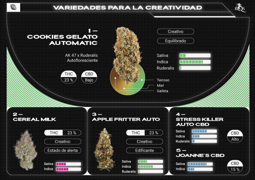 Top RQS Creative Strains