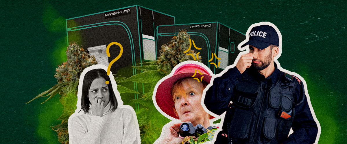 ¿Las Tiendas de Cultivo Retienen el Olor Cannabis? Una ilustración de cogollos de cannabis con tiendas de cultivo, una mujer confundida, una mujer sorprendida con binoculares y un policía, sobre un fondo verde, explorando si las tiendas de cultivo contienen el olor del cannabis.