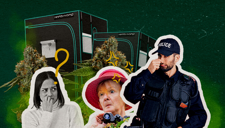 ¿Las Tiendas de Cultivo Retienen el Olor Cannabis? Una ilustración de cogollos de cannabis con tiendas de cultivo, una mujer confundida, una mujer sorprendida con binoculares y un policía, sobre un fondo verde, explorando si las tiendas de cultivo contienen el olor del cannabis.