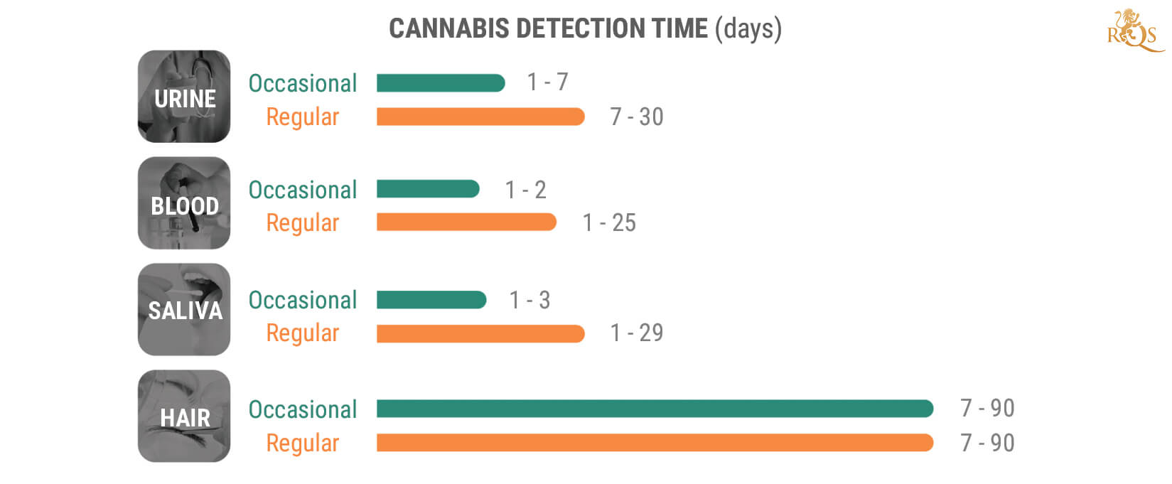 ¿Cuánto Tiempo Permanece El THC En El Organismo? ¿Cuánto Tiempo Permanece El THC En El Organismo?