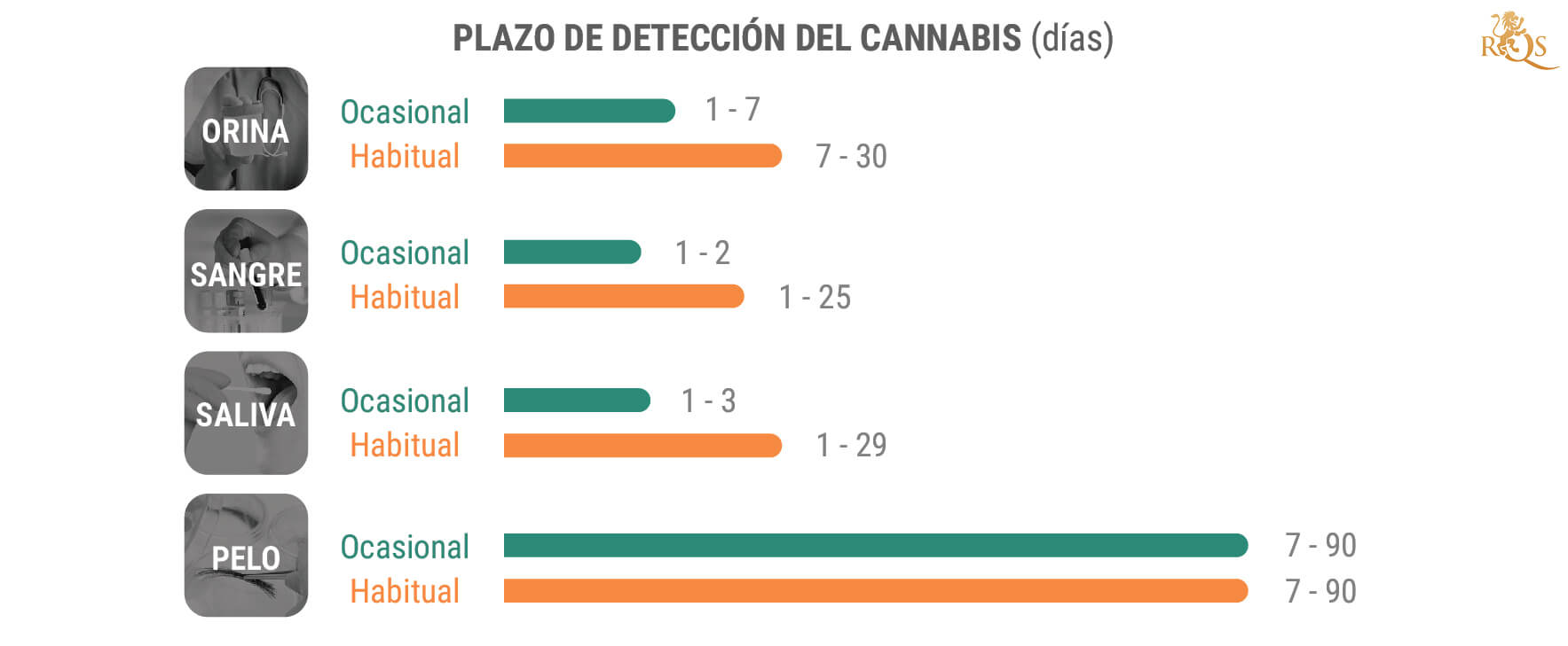 ¿Cuánto Tiempo Permanece El THC En El Organismo?