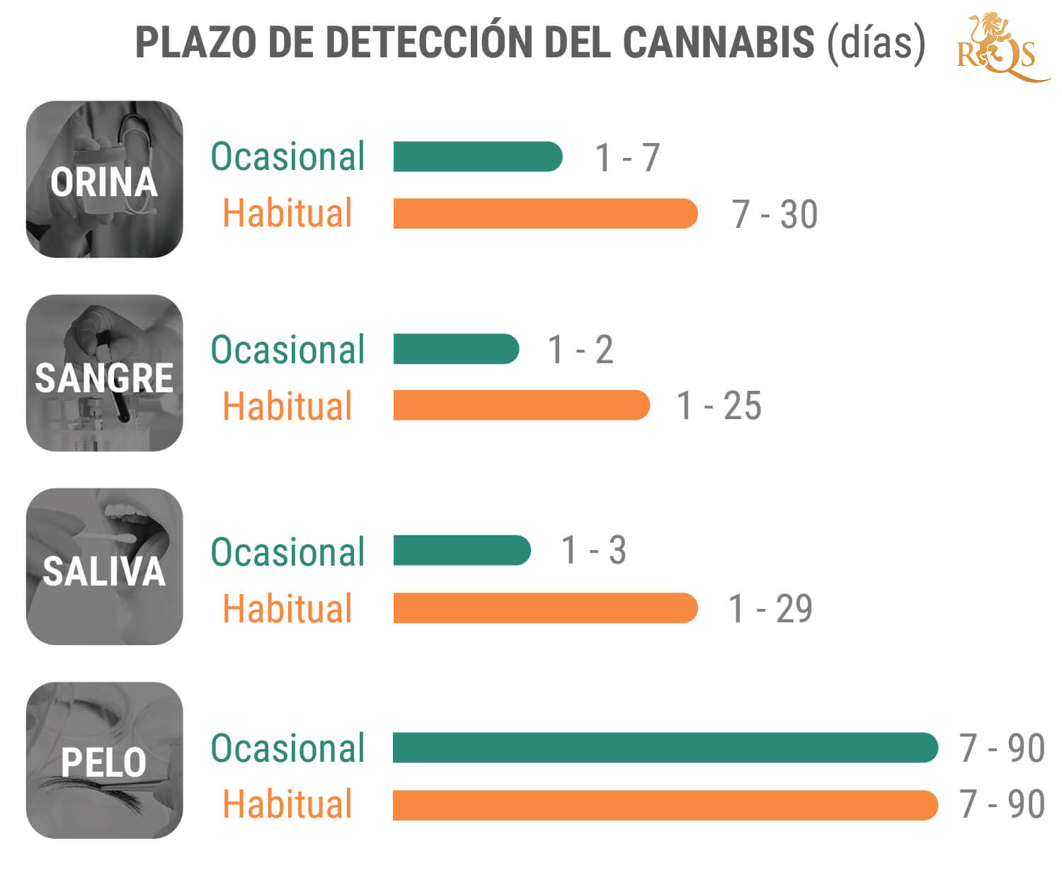 Cuánto tiempo debe pasar para dar negativo en un test de alcoholemia?