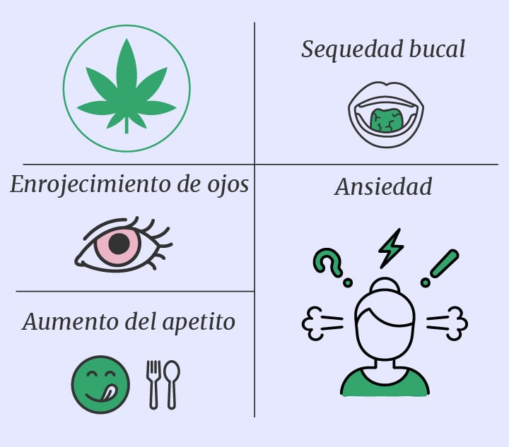 Cannabis y setas alucinógenas