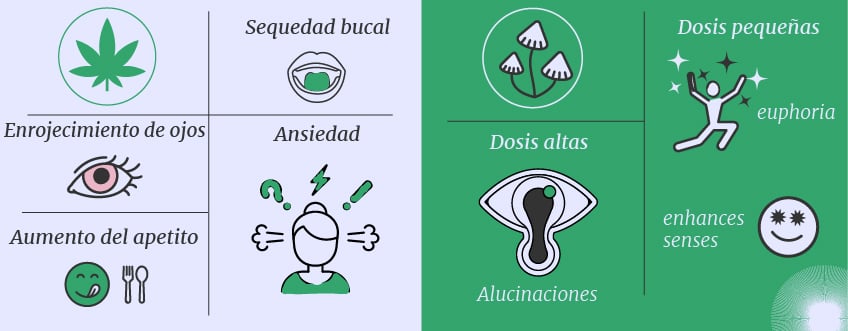 Cannabis y setas alucinógenas