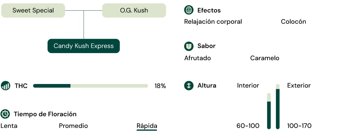 Características de la variedad Candy Kush Express