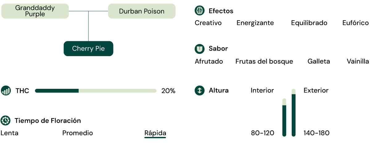 Características de la variedad Cherry Pie Características de la variedad Cherry Pie