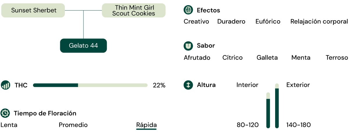 Características de la variedad Gelato 44 Características de la variedad Gelato 44