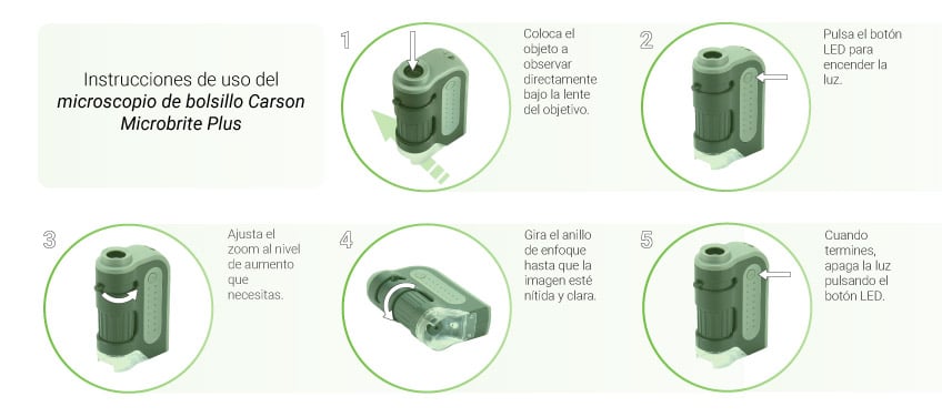 How to use the Carson Microbrite Plus Pocket Microscope