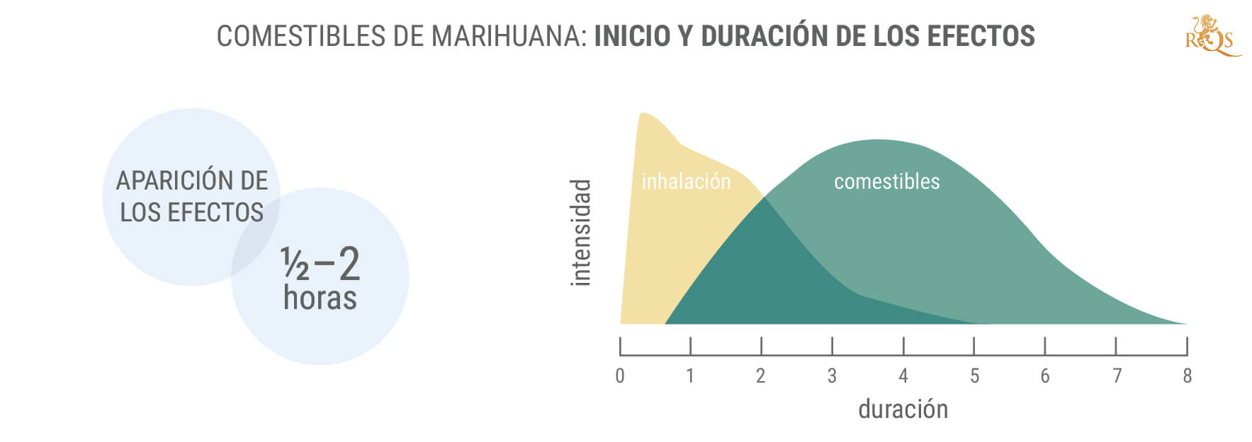 ¿Cuánto dura el efecto de los comestibles?