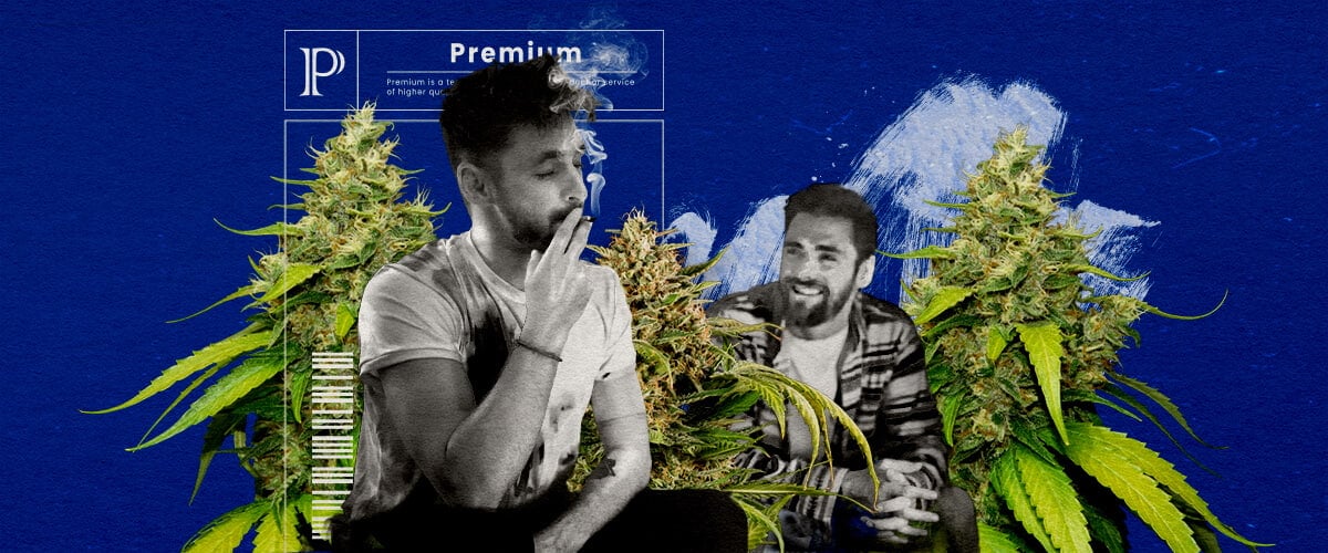 Una ilustración de un cogollo de cannabis Blue Gelato con tonos púrpura, rodeado de un aura relajante y estimulante, sobre un fondo verde, mostrando los efectos y la experiencia del usuario de la cepa.