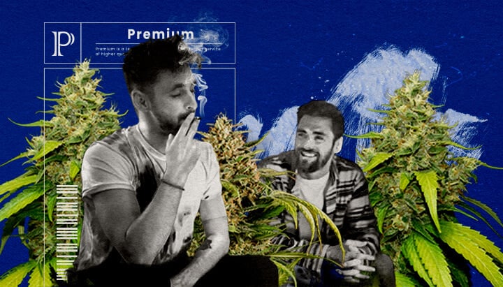 Una ilustración de un cogollo de cannabis Blue Gelato con tonos púrpura, rodeado de un aura relajante y estimulante, sobre un fondo verde, mostrando los efectos y la experiencia del usuario de la cepa.