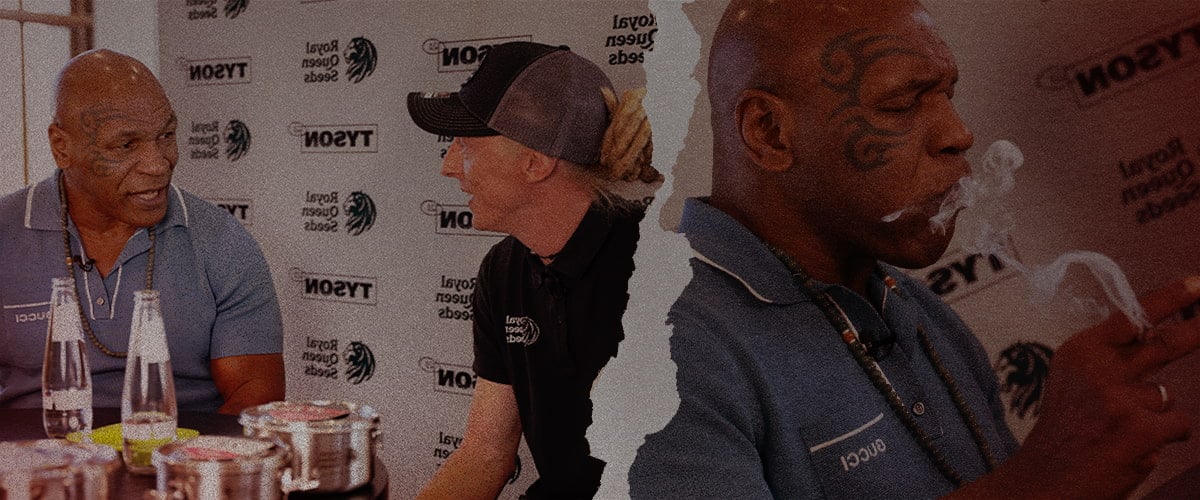 Mike Tyson y Royal Queen Seeds – Conversaciones eufóricas sobre cannabis Mike Tyson conversando y fumando con un representante de Royal Queen Seeds, destacando su colaboración en la industria cannábica y su estilo de vida eufórico.