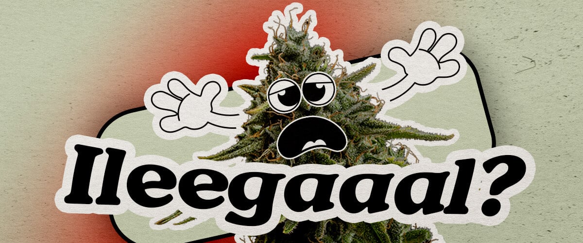 Países europeos donde la marihuana sigue siendo ilegal Una planta de cannabis cartoon preocupada con un rostro ansioso y manos levantadas está sobre un fondo degradado. El texto