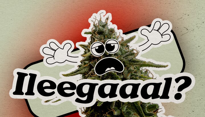 Planta de Cannabis Preocupada Preguntando por Su Estado Ilegal en Europa Una planta de cannabis cartoon preocupada con un rostro ansioso y manos levantadas está sobre un fondo degradado. El texto