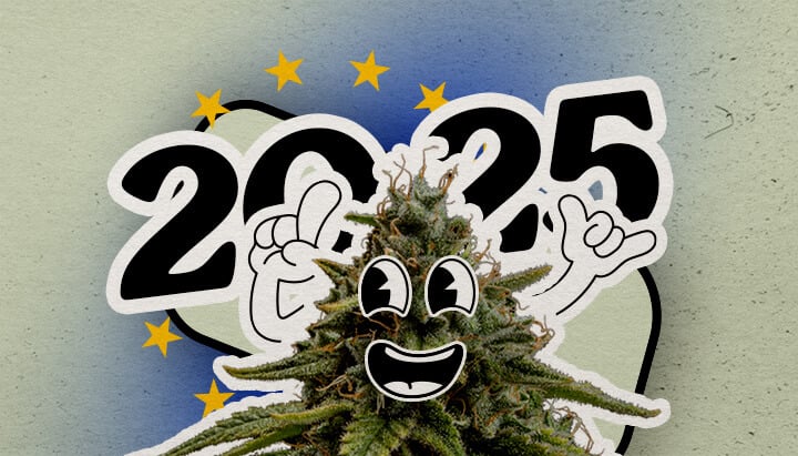 Descubre el panorama cannábico europeo en 2025 Una planta de cannabis cartoon alegre con una gran sonrisa y manos levantadas está sobre un fondo degradado con 2025 y estrellas europeas. La imagen celebra el paisaje del cannabis en Europa para el año.