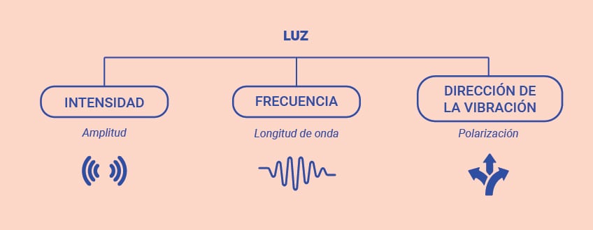 Luz visible y luz invisible