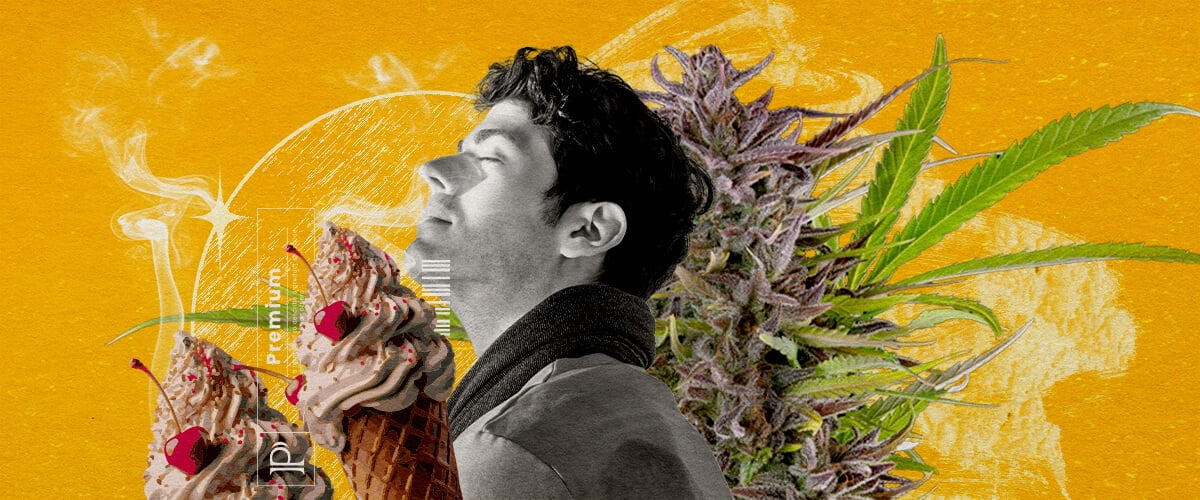 Perfil aromático de la variedad Gelato Una ilustración de un hombre con los ojos cerrados inhalando humo, rodeado de un cogollo de cannabis y dos conos de helado con cerezas, sobre un fondo amarillo vibrante con efectos de humo abstractos, explorando visualmente el perfil de sabor y aroma de la cepa Gelato cannabis.