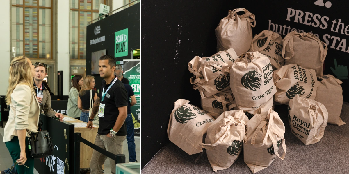 Explora el stand de Royal Queen Seeds con juegos interactivos, bolsas de regalo de la marca y momentos destacados del evento TYSON 2.0.