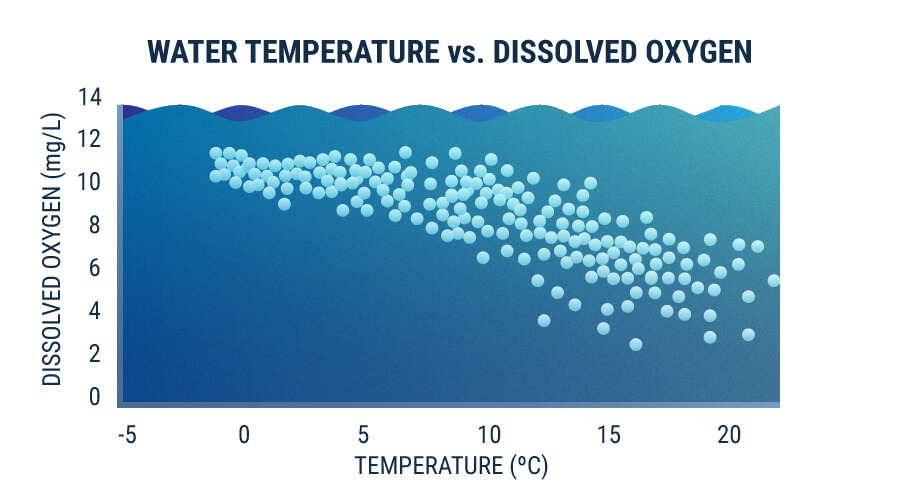 Oxígeno Molecular Oxígeno Molecular