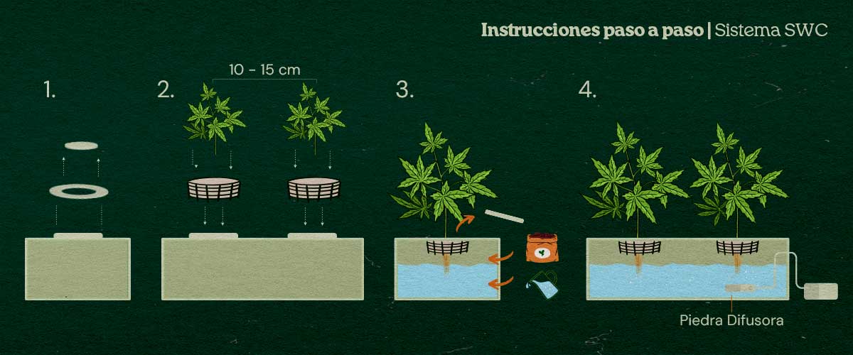 Cómo montar un sistema de cultivo casero en aguas poco profundas Cómo montar un sistema de cultivo casero en aguas poco profundas