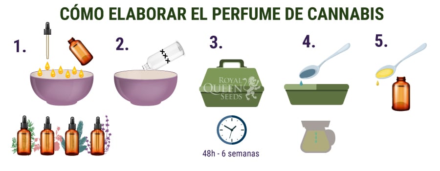 Cómo Elaborar El Perfum de Cannabis 