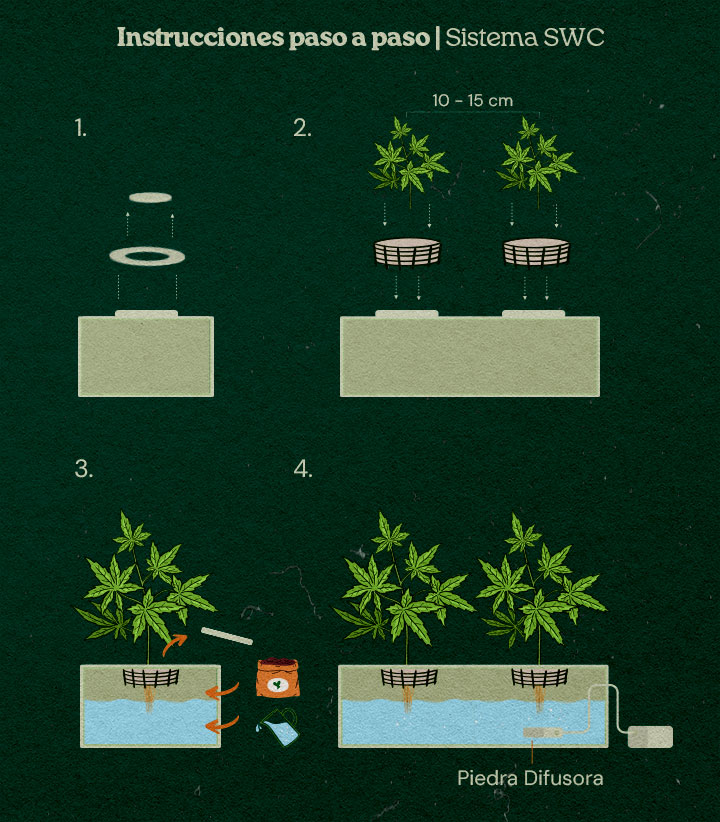 Cómo montar un sistema de cultivo casero en aguas poco profundas Cómo montar un sistema de cultivo casero en aguas poco profundas