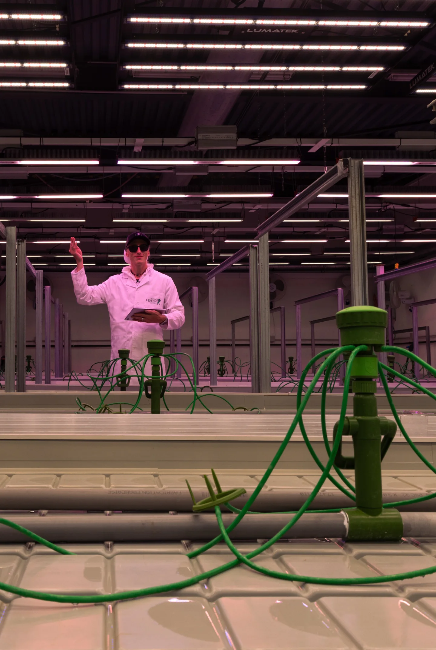 Instalación de sala de cultivo para crop steering de cannabis Sala de cultivo de cannabis controlada preparada para ensayos de crop steering, mostrando goteros de riego, bancos hidropónicos, luces de cultivo superiores y un investigador supervisando la instalación.