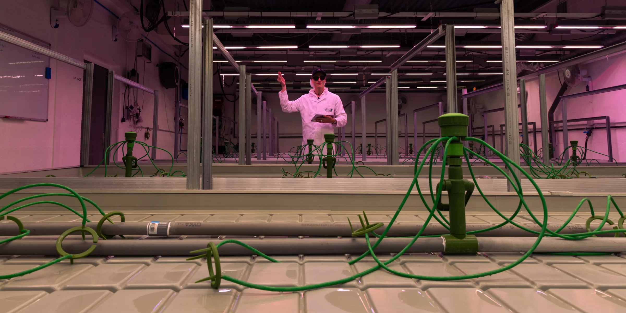 Instalación de sala de cultivo para crop steering de cannabis Sala de cultivo de cannabis controlada preparada para ensayos de crop steering, mostrando goteros de riego, bancos hidropónicos, luces de cultivo superiores y un investigador supervisando la instalación.