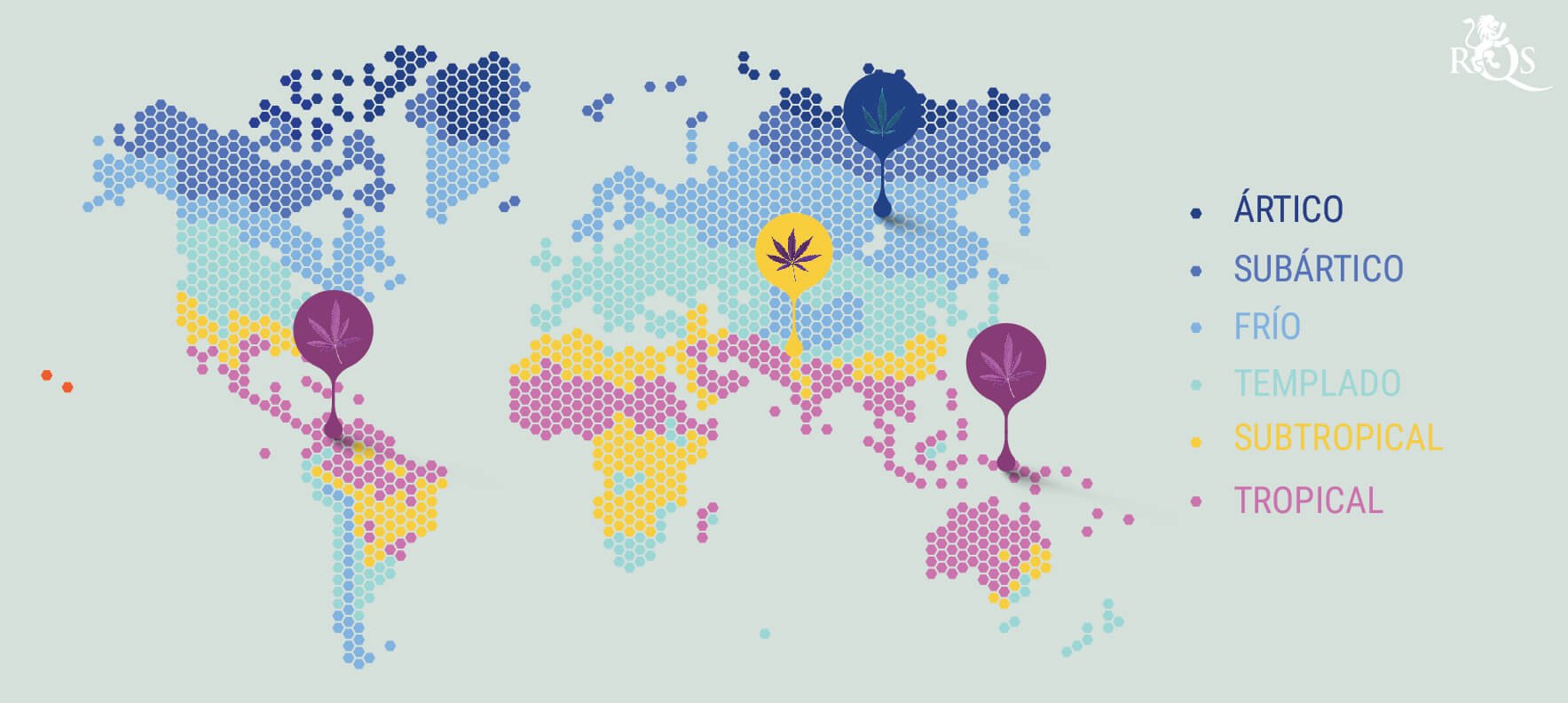 Cultivo de marihuana interior vs exterior: diferencias