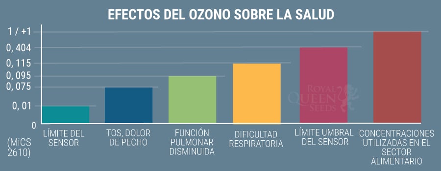 Efectos del Ozono en la Salud 