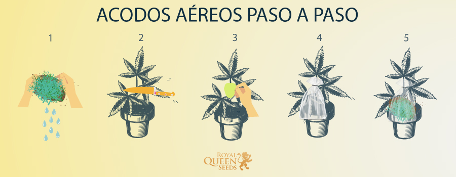Acodos Aéreos Paso a Paso 