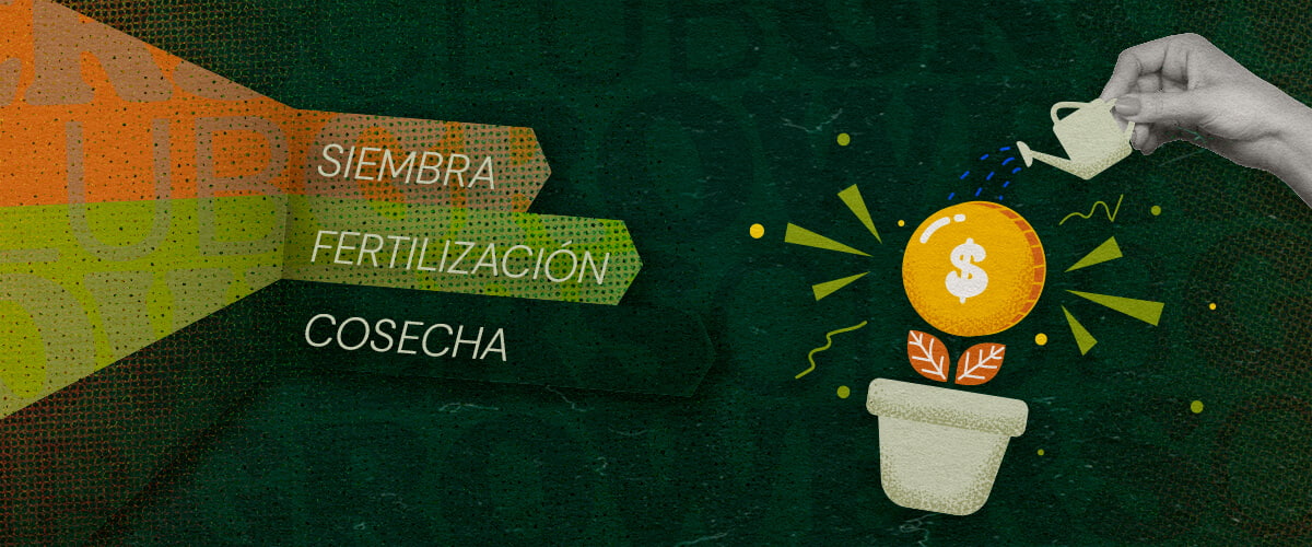 Proceso de Siembra, Cuidado y Cosecha Una ilustración que muestra el proceso de cultivo de cannabis con las palabras