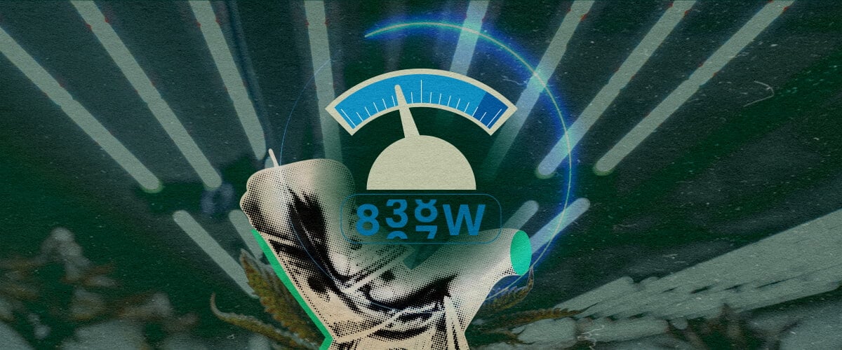 Cuánta Electricidad Usan las Luces LED: Imagen de Medidor Medidor futurista con hojas de cannabis, mostrando el uso eléctrico de luces LED (100W-800W) para plántulas y floración en un fondo verde oscuro, ideal para guías de cultivo de cannabis.