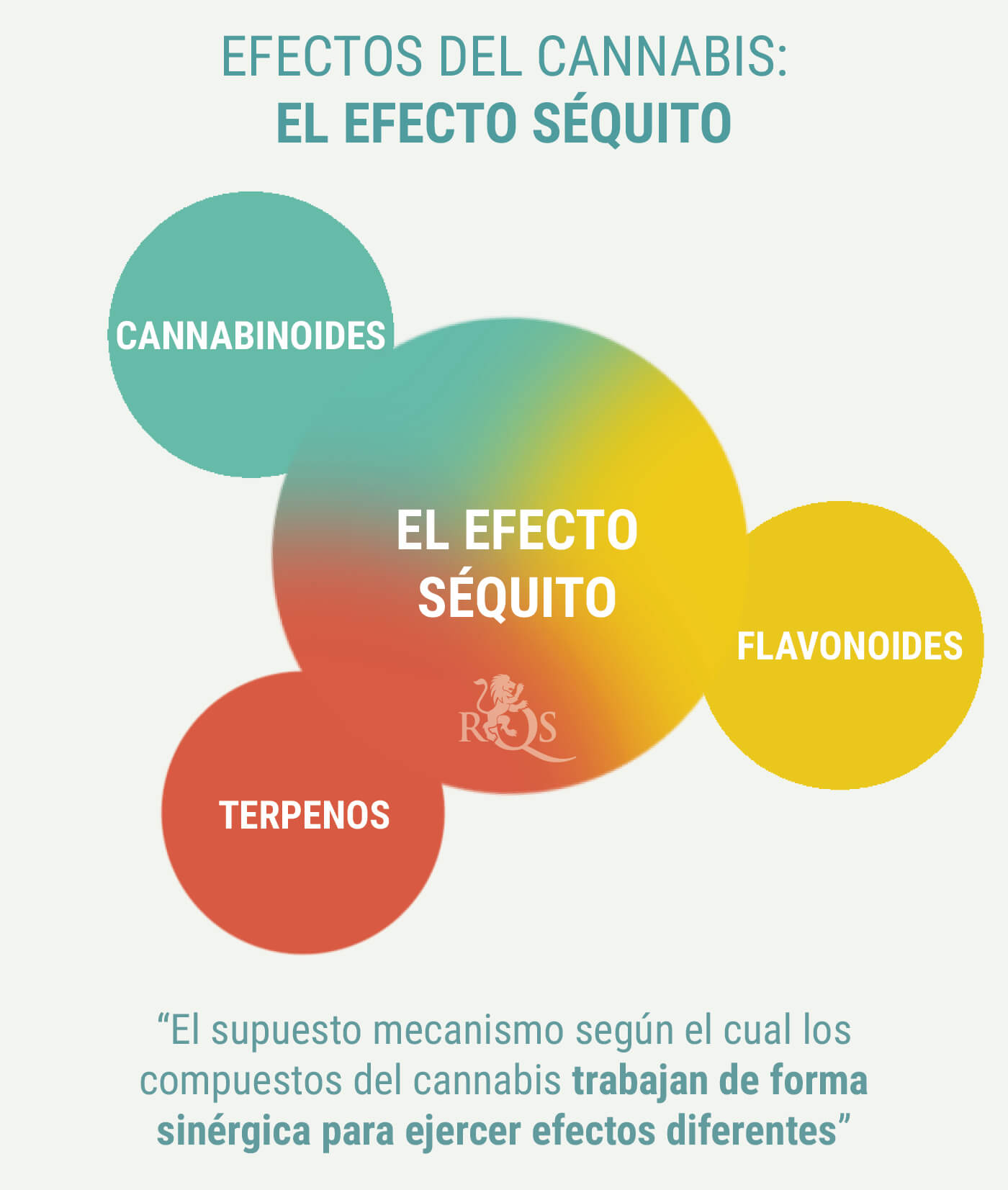 ¿PRODUCEN EFECTOS DIFERENTES LAS ÍNDICAS Y LAS SATIVAS? ¿PRODUCEN EFECTOS DIFERENTES LAS ÍNDICAS Y LAS SATIVAS?