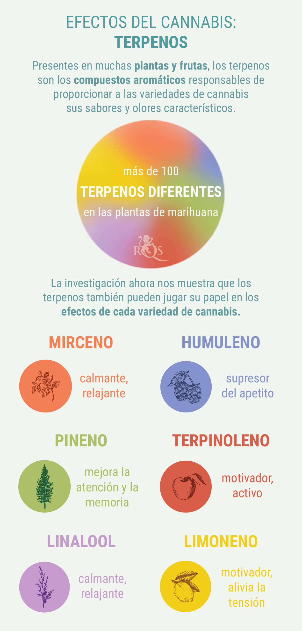 COMBINACIONES A MEDIDA DE GENÉTICA ÍNDICA Y SATIVA COMBINACIONES A MEDIDA DE GENÉTICA ÍNDICA Y SATIVA