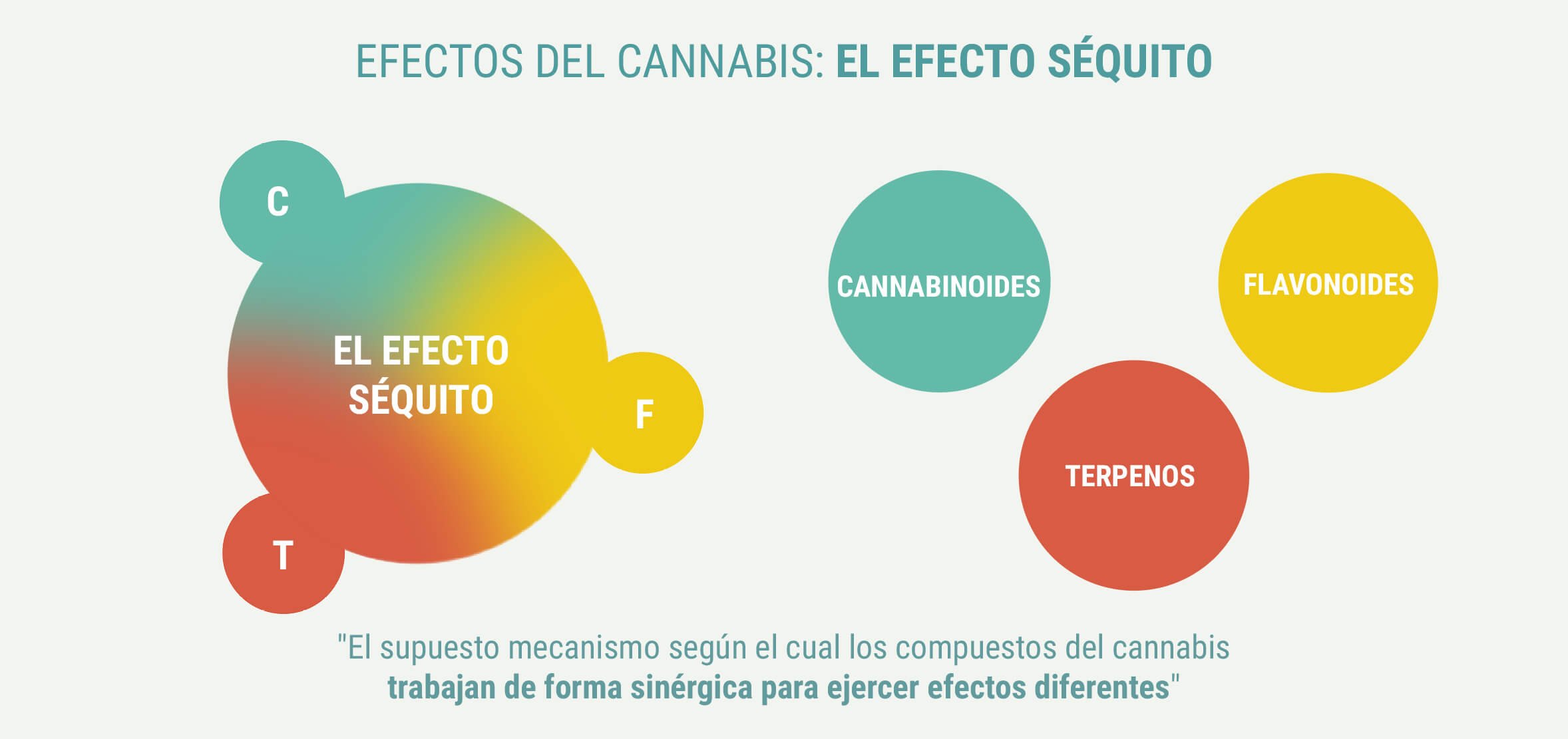 ¿PRODUCEN EFECTOS DIFERENTES LAS ÍNDICAS Y LAS SATIVAS?