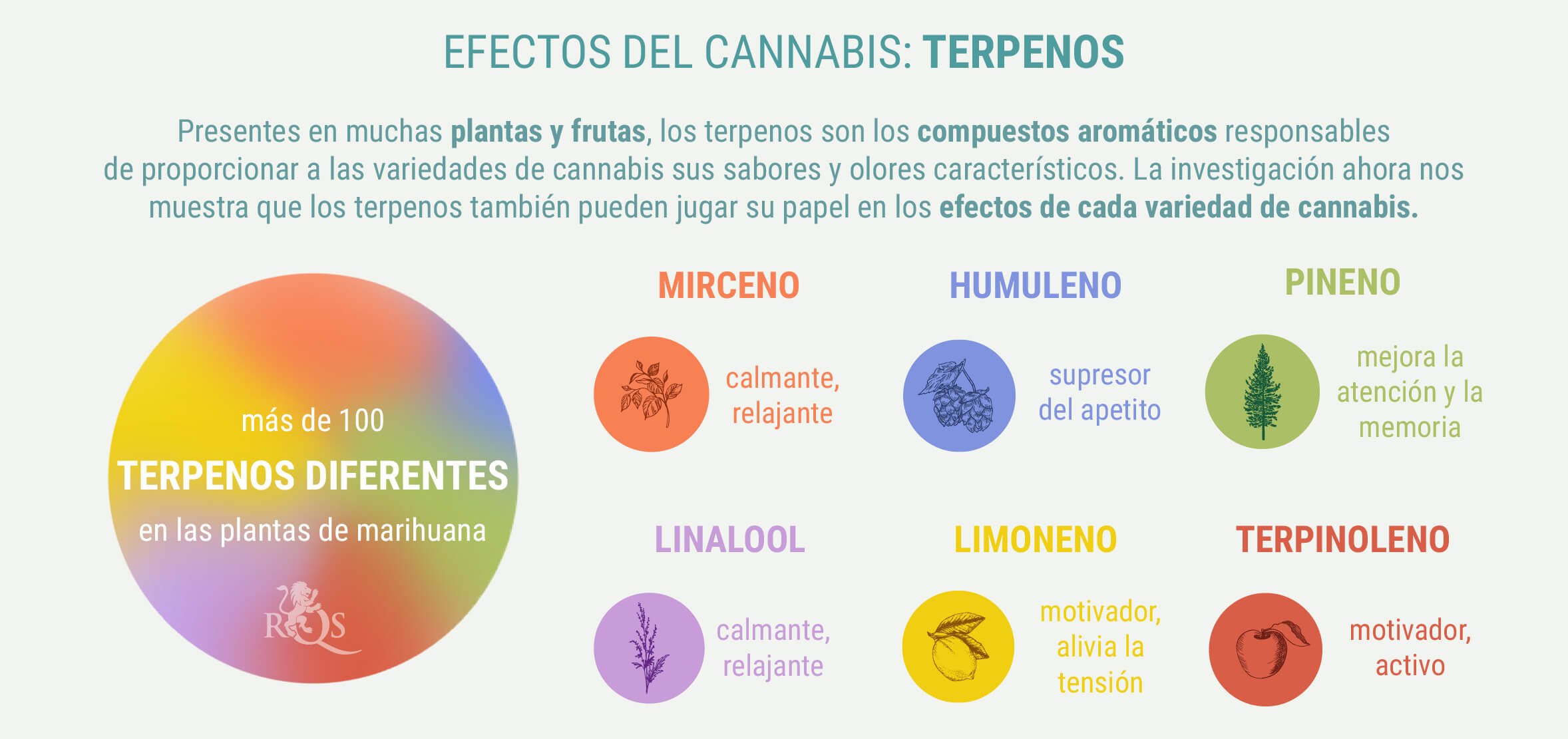 COMBINACIONES A MEDIDA DE GENÉTICA ÍNDICA Y SATIVA