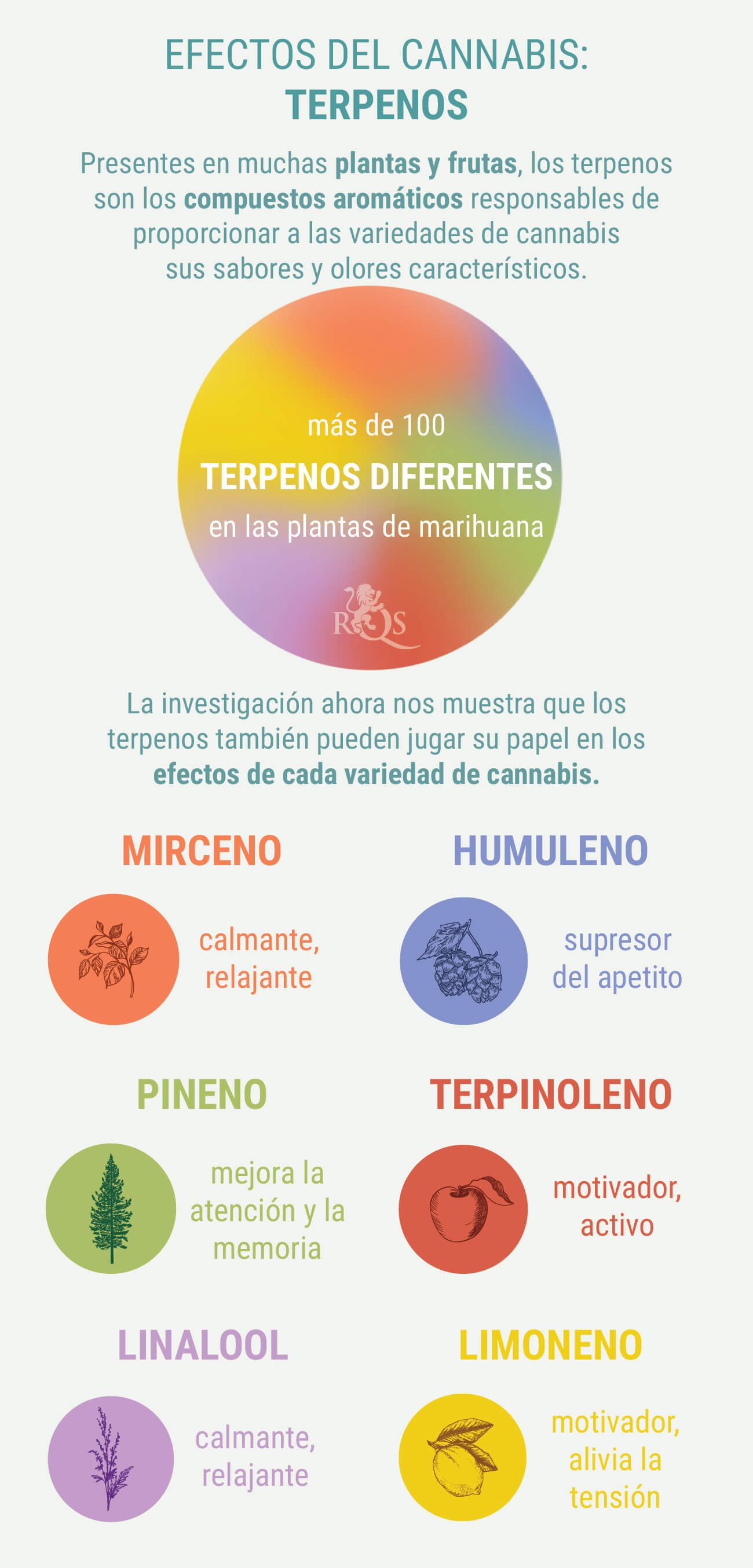 COMBINACIONES A MEDIDA DE GENÉTICA ÍNDICA Y SATIVA