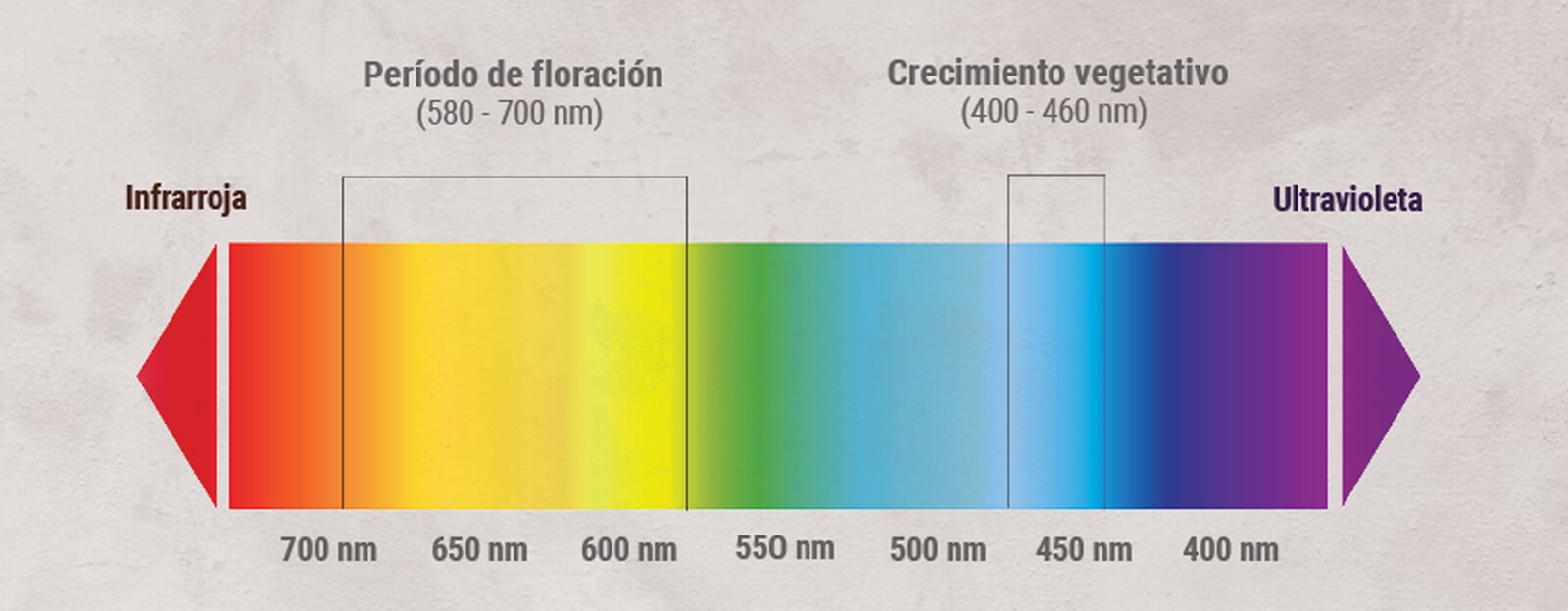 Espectro de luz del cultivo de cannabis