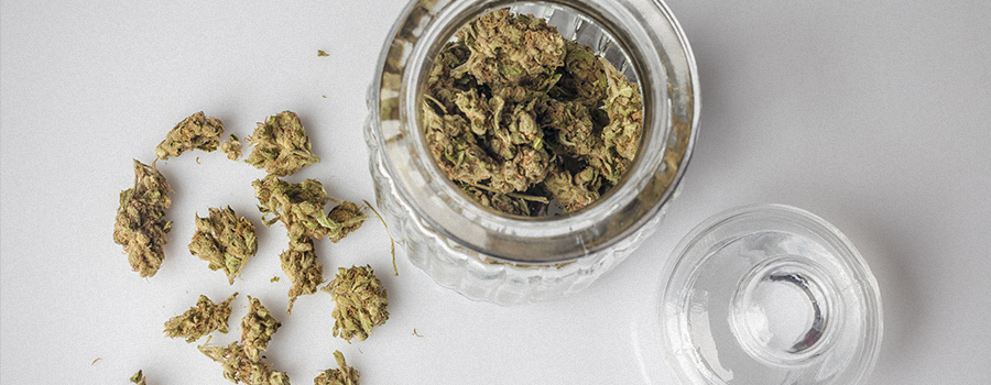 Receta Para Brownie De Cannabis