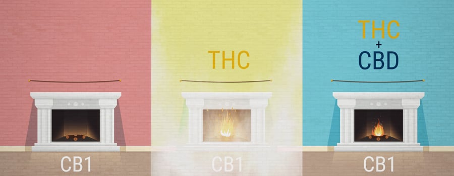 El Efecto Séquito En El Cannabis THC CBD