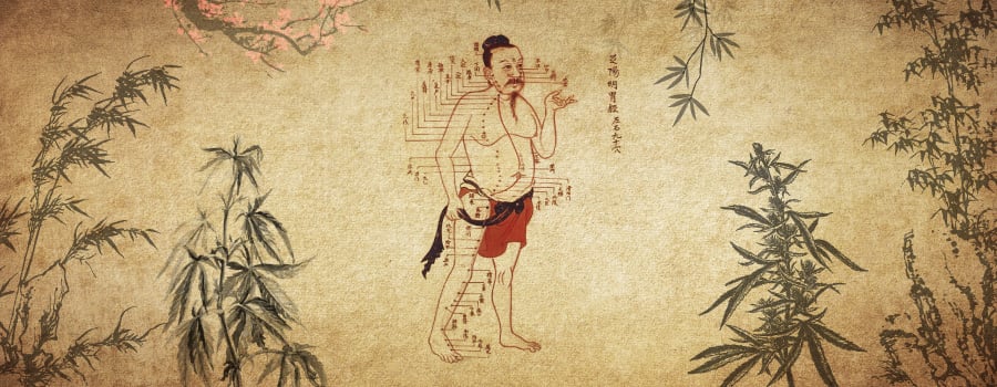 Cannabis En La Acupuntura De La Medicina Tradicional China