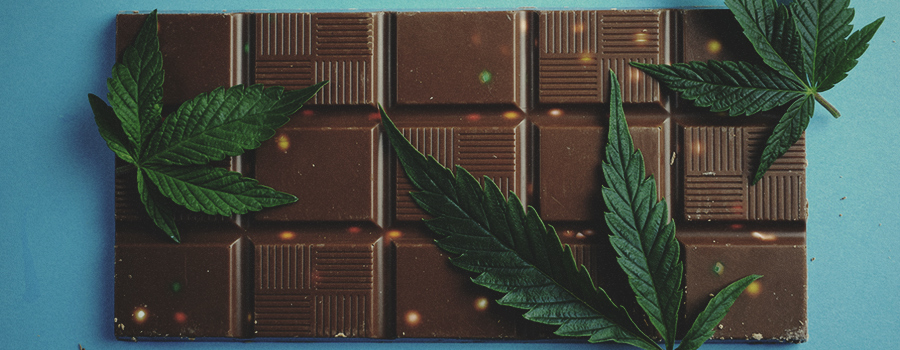 Cannabis Comestible Cannabis Comestible