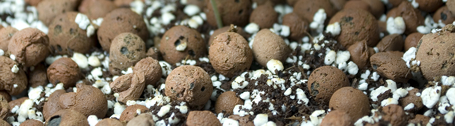 bolas de arcilla hydroponic 